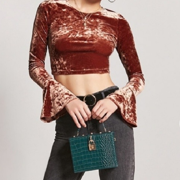 Anthropologie Tops - 🆕 velvet billow sleeves romantic crop top ✨